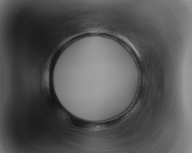 X0000087531270200705181024