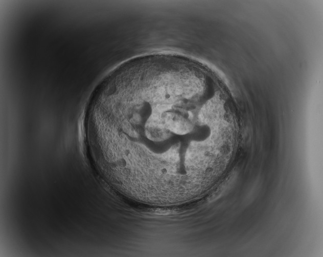 X0000087531271200705181024