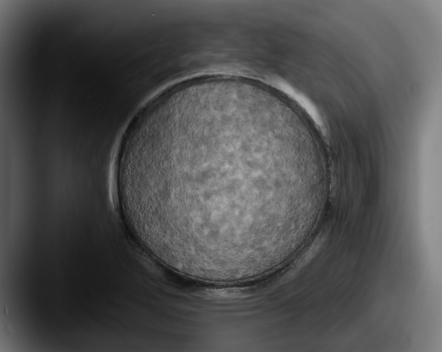 X0000087531272200705181024