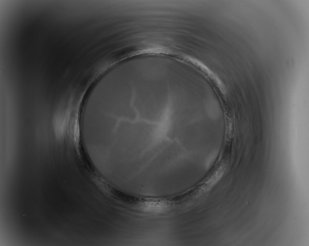 X0000087531274200705181024