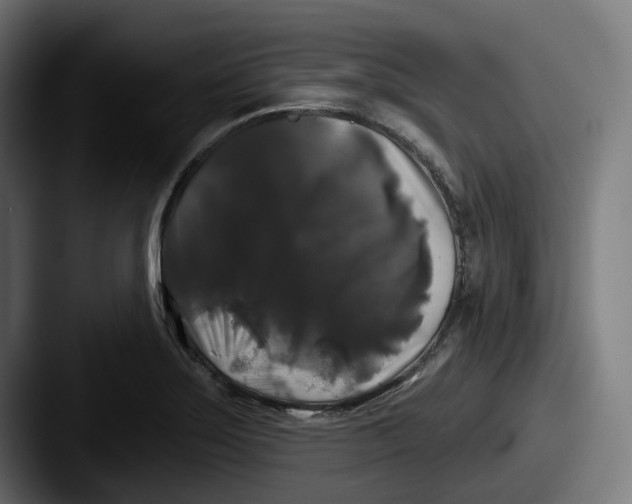 X0000087531275200705181024