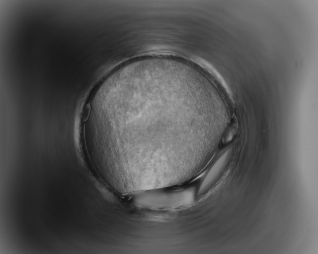 X0000087531277200705181024