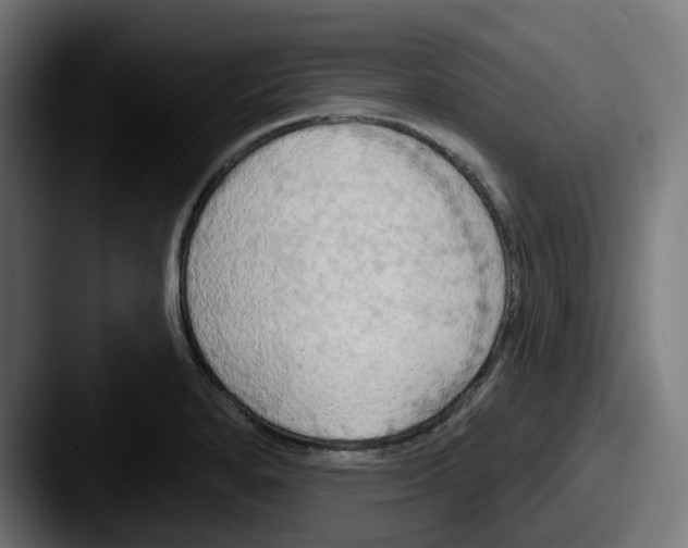 X0000087531280200705181024