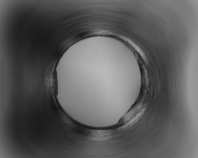 X0000087531281200705181024