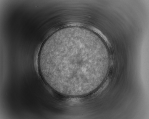 X0000087531282200705181024