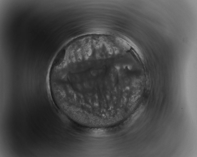 X0000087531283200705181024