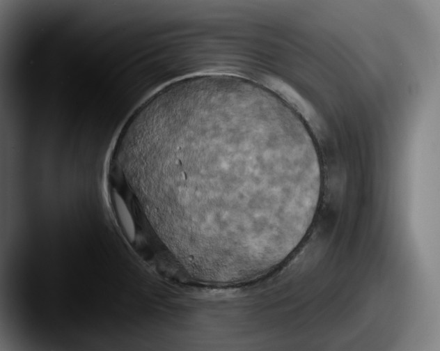 X0000087531284200705181024