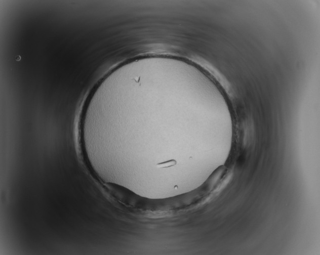 X0000087531285200705181024