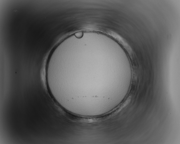 X0000087531286200705181024