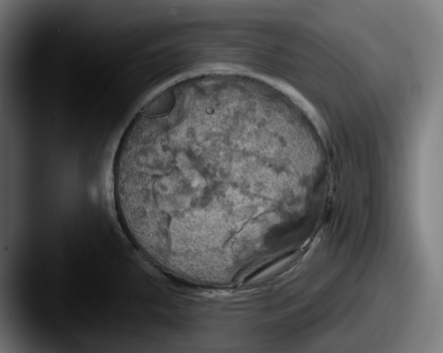 X0000087531287200705181024