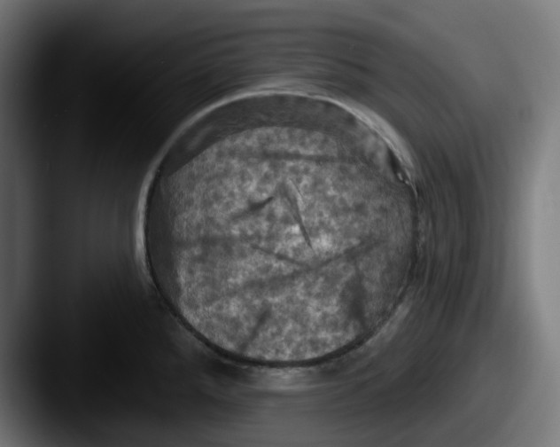 X0000087531288200705181024