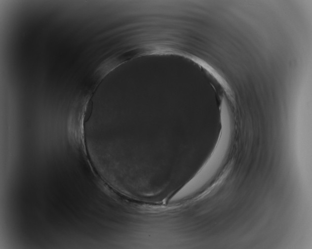 X0000087531289200705181024