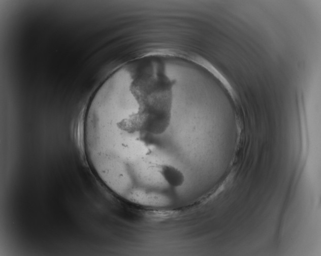 X0000087531290200705181024