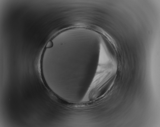 X0000087531291200705181024