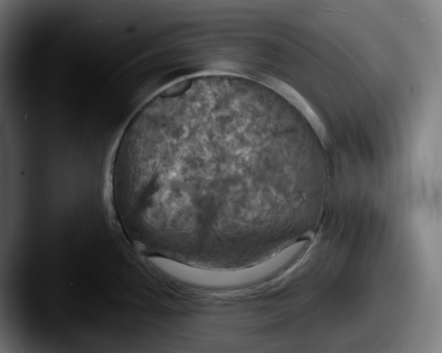 X0000087531292200705181024