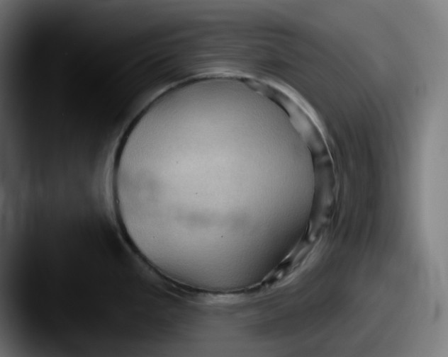 X0000087531293200705181024