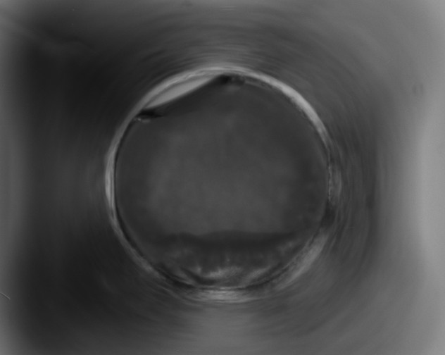 X0000087531295200705181024