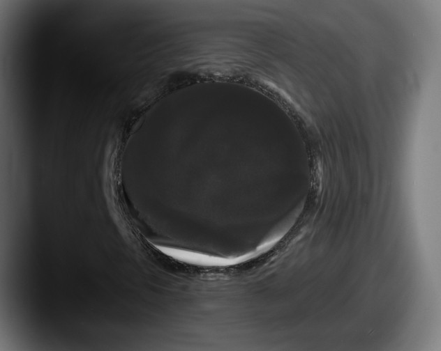 X0000087531297200705181023