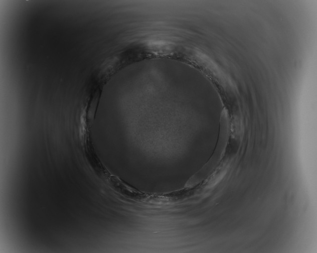 X0000087531298200705181023