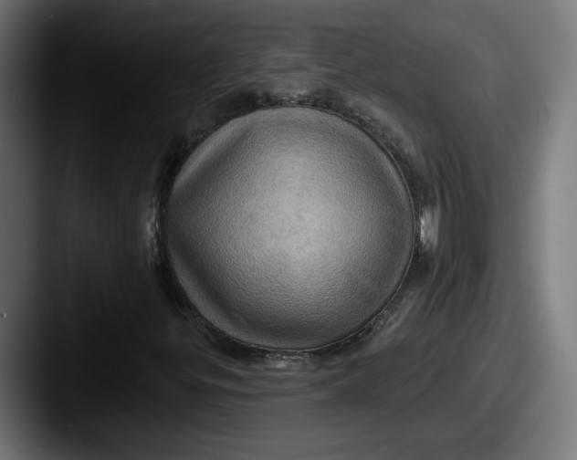 X0000087531299200705181023