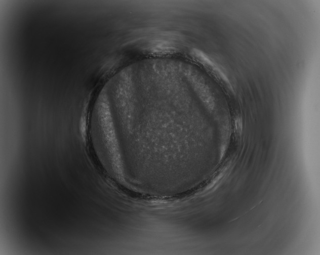 X0000087531300200705181023