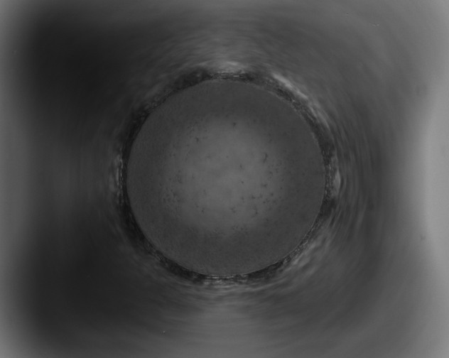 X0000087531301200705181023