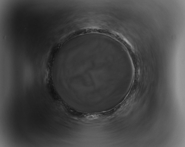 X0000087531303200705181023