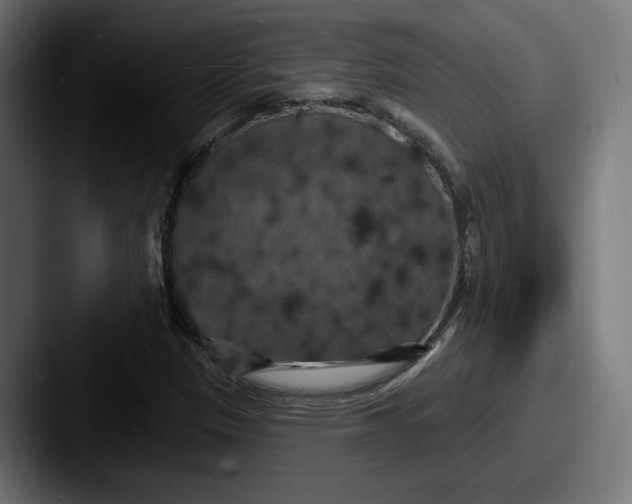 X0000087531305200705181023