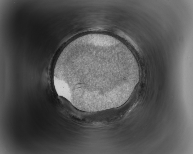 X0000087531308200705181023