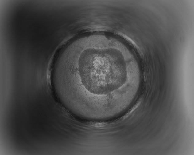 X0000087531309200705181023