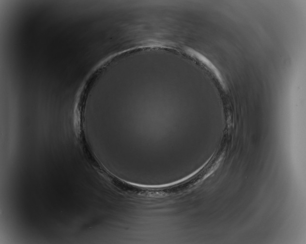 X0000087531310200705181023