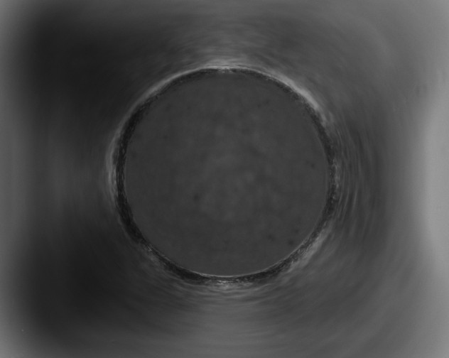 X0000087531311200705181023