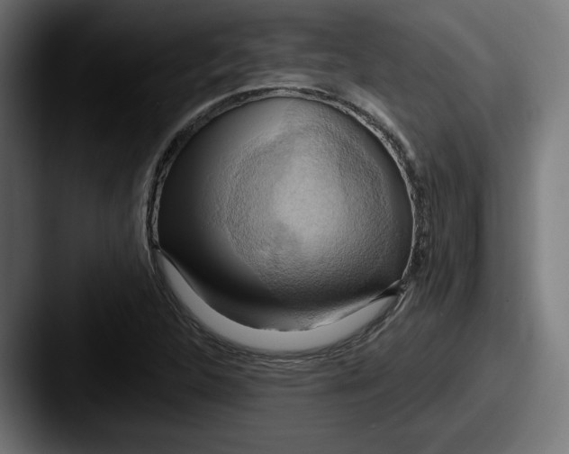 X0000087531312200705181023