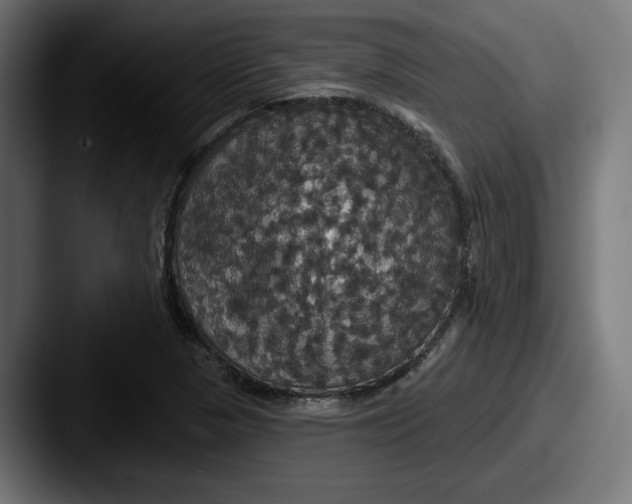 X0000087531313200705181023