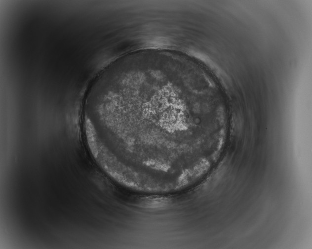 X0000087531314200705181023