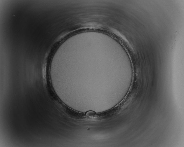 X0000087531315200705181023