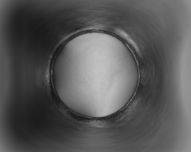 X0000087531316200705181023