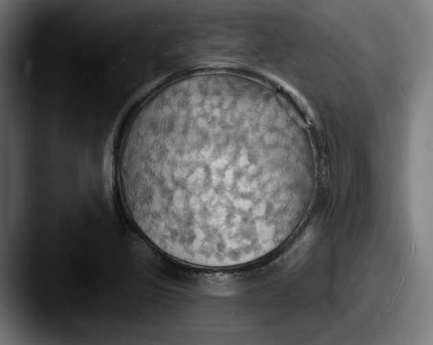 X0000087531317200705181023