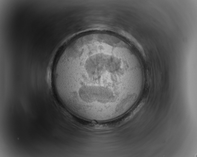 X0000087531318200705181023