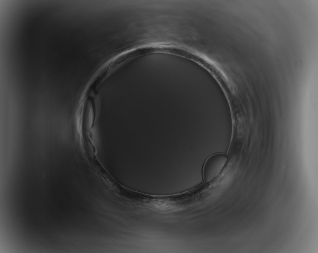 X0000087531319200705181023