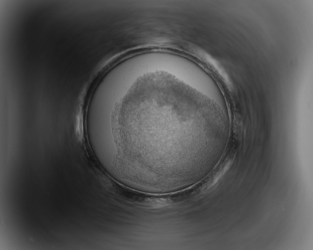 X0000087531320200705181023