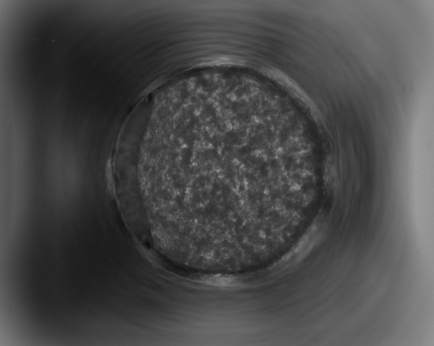 X0000087531321200705181023