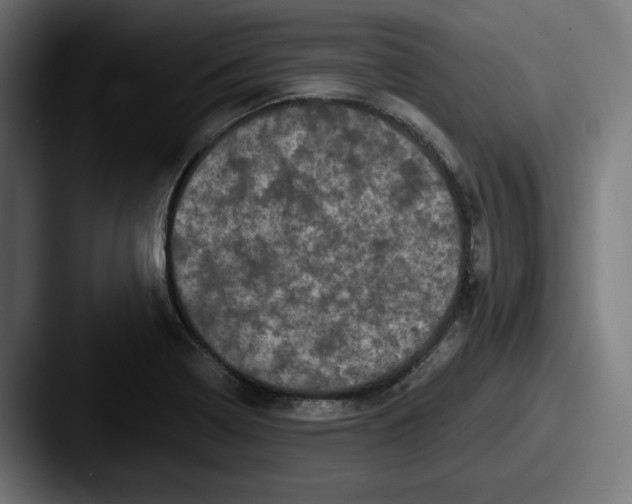 X0000087531322200705181023