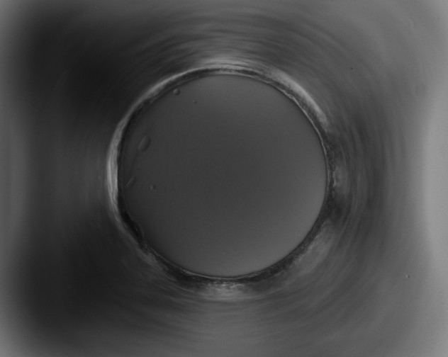 X0000087531323200705181023