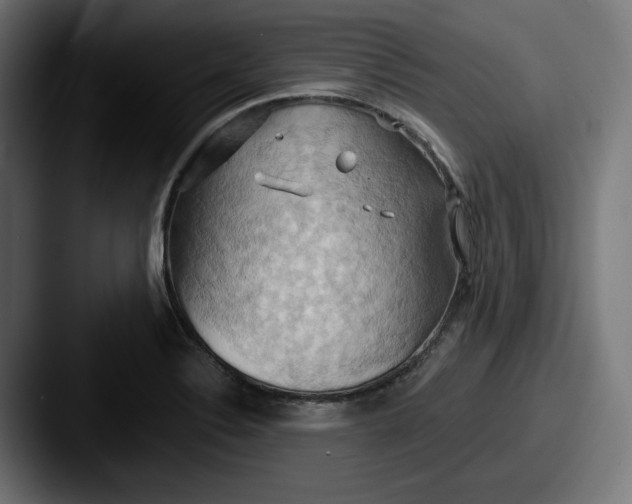 X0000087531324200705181023