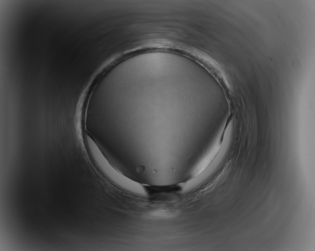 X0000087531326200705181023