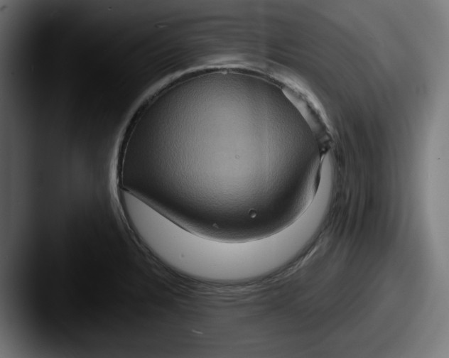 X0000087531328200705181023