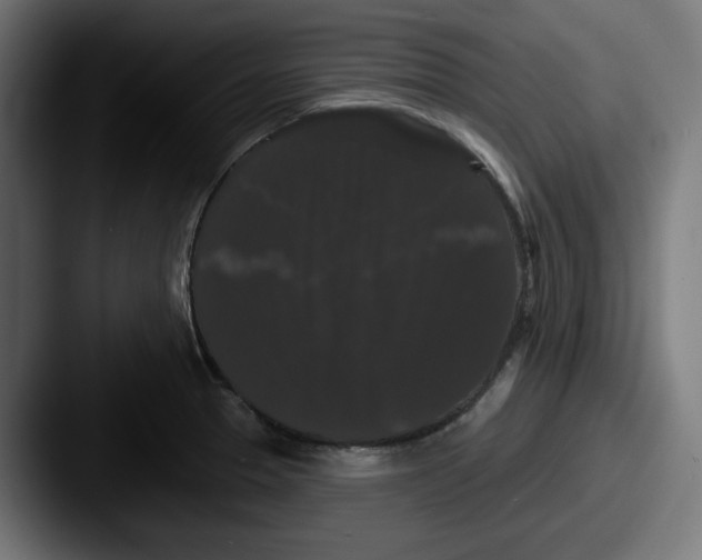 X0000087531329200705181023