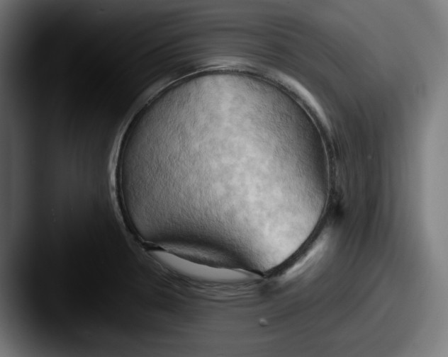 X0000087531330200705181023