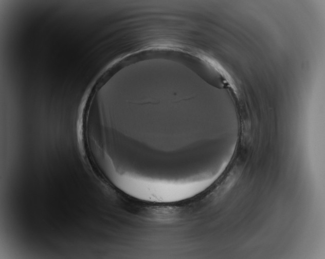 X0000087531331200705181023